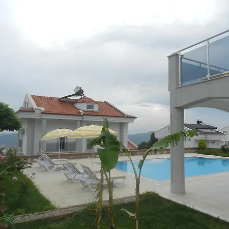 Villa New Age Golden King Villas